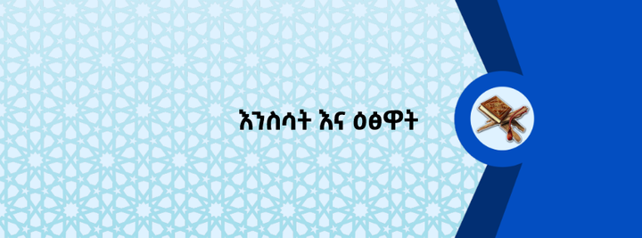 እንስሳት እና ዕፅዋት