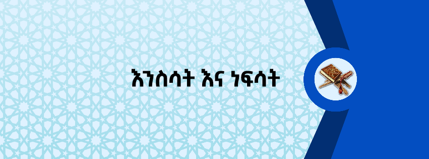 እንስሳት እና ነፍሳት